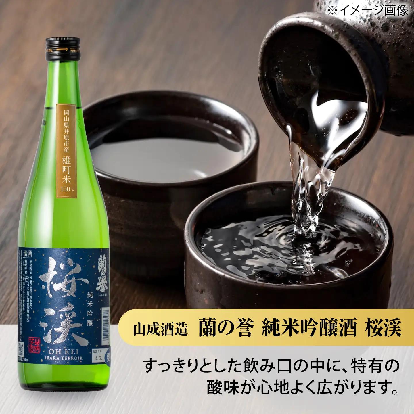 【びんご圏域連携】備後の日本酒 純米吟醸酒 飲み比べセット [BADI001]