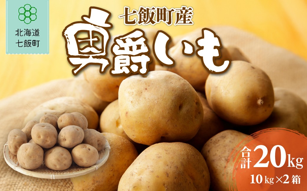 
                  七飯町産男爵いも20kg(10㎏×2箱)【 ふるさと納税 人気 おすすめ ランキング じゃがいも 男爵 男爵いも 北海道 七飯町 送料無料 】 NABK002
                