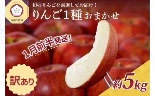 【2026年1月前半発送】 【訳あり】 りんご 青森産 約5kg 品種おまかせ1種