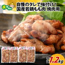 【ふるさと納税】国産 味付け 真空 冷凍 鶏肉 300g × 4袋（ 計 1.2kg ） l 簡単 焼肉 ジューシー 若鶏 鶏もも肉 BBQ バーベキュー 鍋 小分け お取り寄せ お試し 永平寺町 送料無料