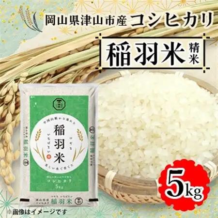 【岡山県津山市産】稲羽米5kg(コシヒカリ)【1297320】