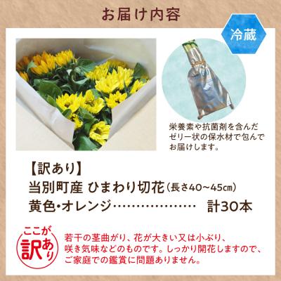 ふるさと納税 当別町 【訳あり】ひまわり切花30本入り(黄色、オレンジ 計30本)_tb11-022 |  | 01