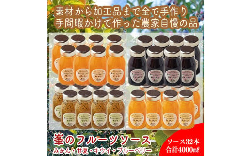 スイスで加工品を学んだ農家が作った手づくりジャムソース 32本セット 手作りみかん キウイ あまなつ ブルーベリー他 125ml 詰め合わせ ギフト【 家庭用 自宅用 贈答品 贈答用 ギフト お取り寄せ お中元 お歳暮 贈り物 お祝い 神奈川県 小田原市 】 142069_EZ029
