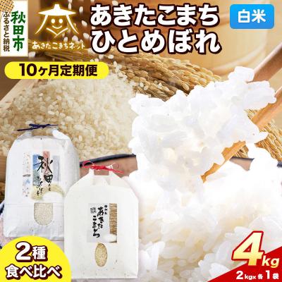 ふるさと納税 秋田市 新米受付 定期便10ヶ月 あきたこまち・ひとめぼれ各2kg 白米|15_akn-be0410hs