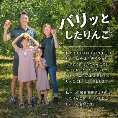 〈令和6年産先行予約〉産地直送　葉とらずサンふじ　訳あり　約4kg【配送不可地域：離島・沖縄県】