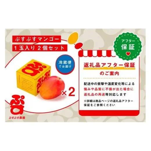 【ぷすぷす農園】＜2026年発送先行予約＞宮古島産完熟マンゴー1玉入り×2個セット（農園直送）（KY005）