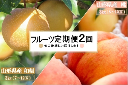 【2026年発送】【定期便2回】山形旬の果物2選（桃/和梨）_H234(R8)