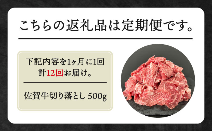 【全12回定期便】佐賀牛 切り落とし 500g【田中畜産牛肉店】 [HBH132]