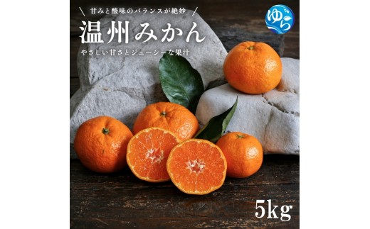 温州みかん 5kg サイズ混合 / 温州 みかん 柑橘 由良町 果物 フルーツ 小玉 大玉 サイズ混合 くだもの 産地直送 和歌山 ※2026年11月中旬から12月下旬頃に順次発送【 ism004-p-5】