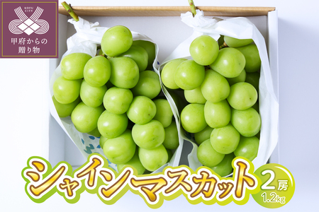 〈2026年度配送分〉シャインマスカット 2房(1.2kg) 〈KF-1〉
