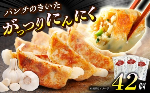 （3パック）開成町の 餃子 がっつりにんにく 餃子 42個(14個入×3パック)【餃子屋ヒロ】餃子 ぎょうざ ギョウザ ギョーザ 豚肉 豚 ミンチ 餃子 神奈川 冷凍 餃子 ぎょうざ ギョウザ ギョーザ 冷凍 餃子 おかず お惣菜 餃子 ぎょうざ ギョウザ ギョーザ 豚肉 豚 ミンチ 冷凍 餃子 ぎょうざ ギョウザ ギョーザ [BDAS004-2]
