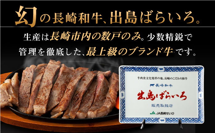 【全3回定期便】長崎和牛「出島ばらいろ」特選霜降 サーロインステーキたっぷり500g【合同会社肉のマルシン】 [QBN019] [QBN019]