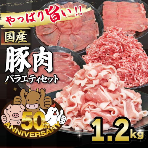 豚肉 バラエティセット 約1.27kg｜土佐備長豚 国産豚肉 国産ぶた 備長炭育ち お試し しゃぶしゃぶ スライス 生姜焼き 豚こま ミンチ 冷凍 小分け 家庭用 贈答用 業務用 吉岡精肉店 高知県 室戸市