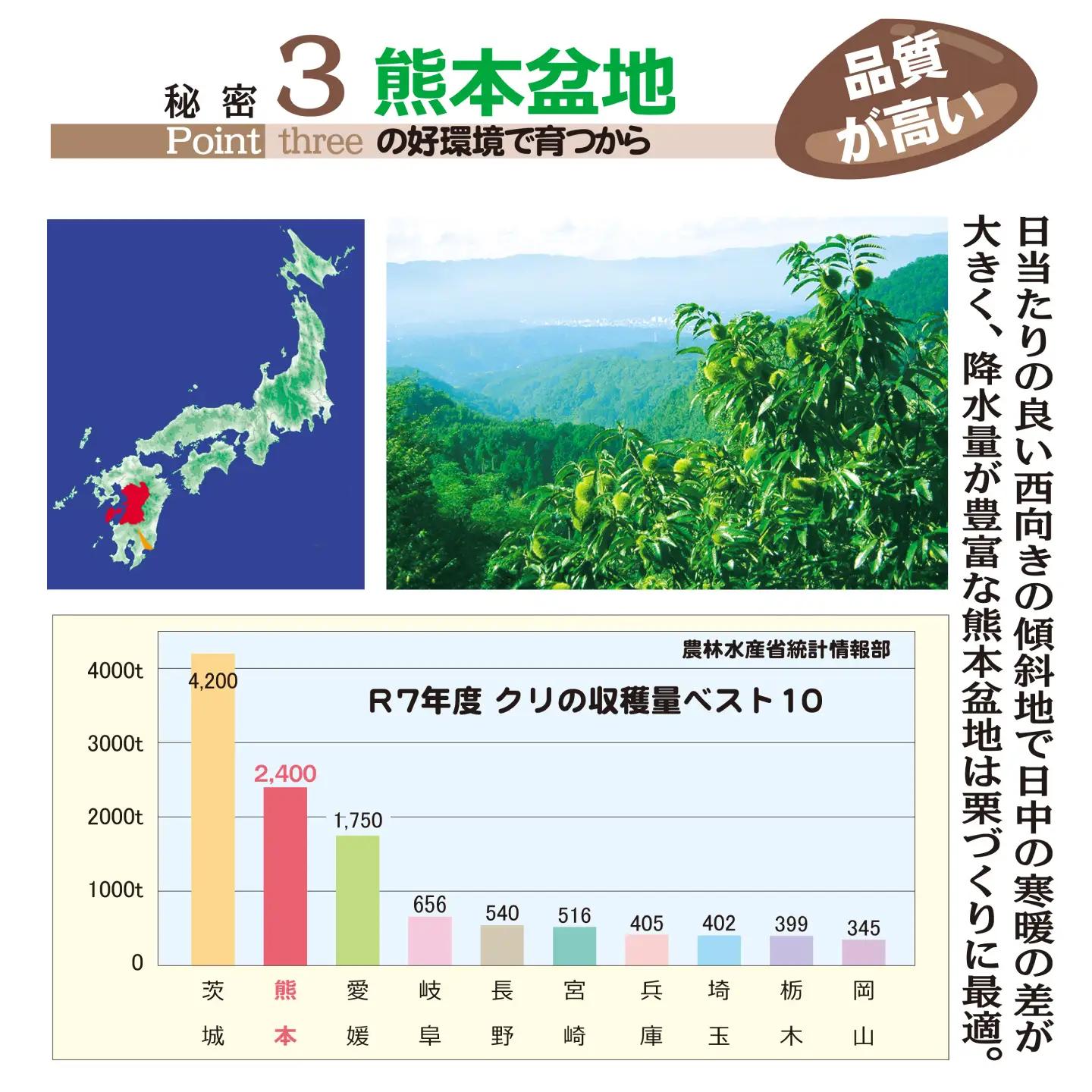 先行予約10月中旬より発送 焼き栗食べ比べ 約400g×2種くまさんの焼き栗AYDQ001