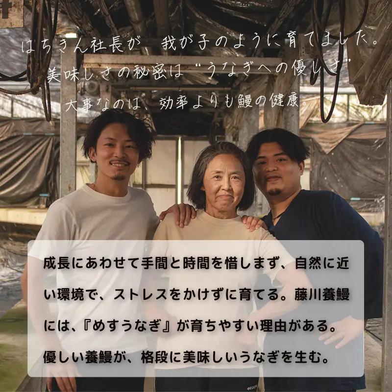 限定 国産 鰻 土佐はちきん うなぎ 蒲焼き 130g以上 × 1尾 | 特上 極上 めす 贈答 南国市