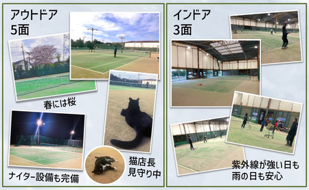 白井テニスクラブ利用券 4,000円分 レンタルテニスコート＆スクール対応 ラケットやボールの貸出あり 手ぶらでテニス レンタルテニスコート レンタルコート テニス練習 テニススクール 体験レッスン 