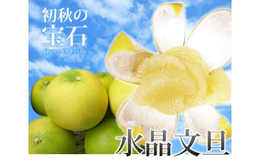 【C06034】温室　水晶文旦　3kg・5〜7玉［期間限定品］