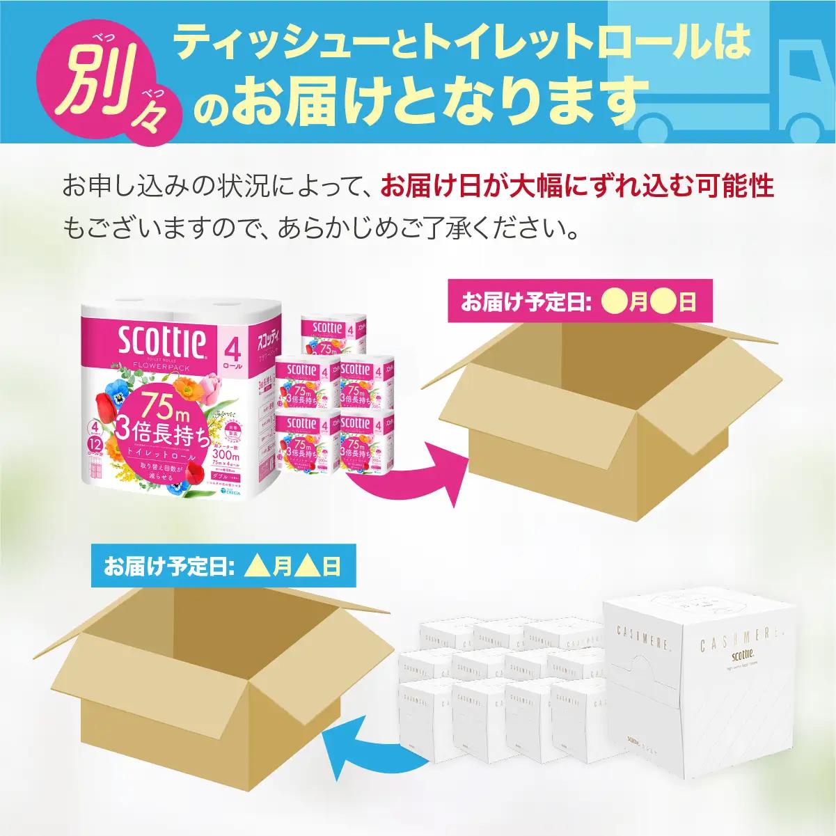 トイレットペーパー ティッシュペーパー 日用品セット3 草加市