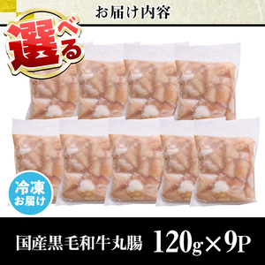 No.1001-03 黒毛和牛丸腸(計1.08kg)国産 九州産 牛肉 黒毛和牛 和牛 ホルモン 焼肉 鉄板焼き もつ鍋 冷凍 小分け【カミチク】