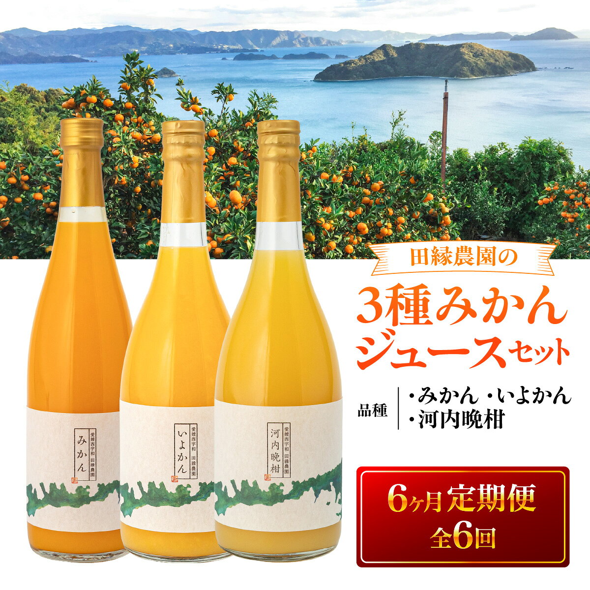 【ふるさと納税】【6ヶ月定期便】田縁農園 3種みかんジュース（みかん いよかん 河内晩柑）セット 全6回 【人気 おすすめ ランキング ジュース みかんジュース オレンジジュース 温州みかん 伊予柑 河内晩柑 果物 贈り物 贈答 ギフト 愛媛県 伊方町 送料無料】IKTA050