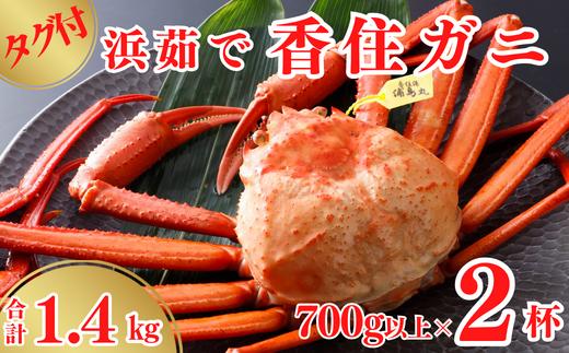 
【タグ付き 浜茹で 香住ガニ 冷蔵】 700g以上×2杯 合計1.4kg以上 カニの本場 香住 選ばれたタグ付きの高級香住ガニです 配送日指定不可 産地直送 大人気 ふるさと納税 送料無料 甘みが強い 絶妙の塩加減での茹で上げ 香住カニ 香美町 かに 海鮮 ベニズワイガニ ゆで蟹 丸ごと ボイル 脚 爪 身 ほぐし むき身 かにすき しゃぶ 鍋 丸近 32500円 19-13
