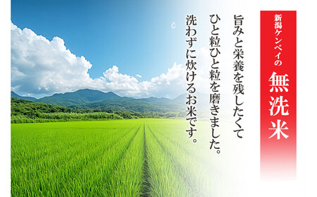 無洗米 吟精 新潟産コシヒカリ５kg 令和6年産 精米
