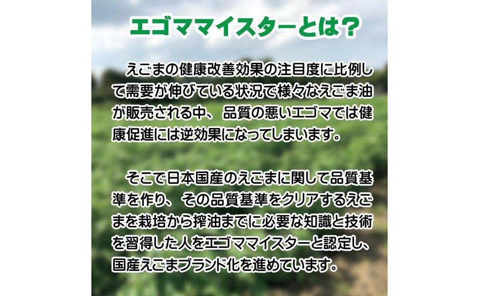 【お中元ギフト】【毎日の美容と健康に】えごまギフトCセット＜22-11a＞ 【お中元ギフト】