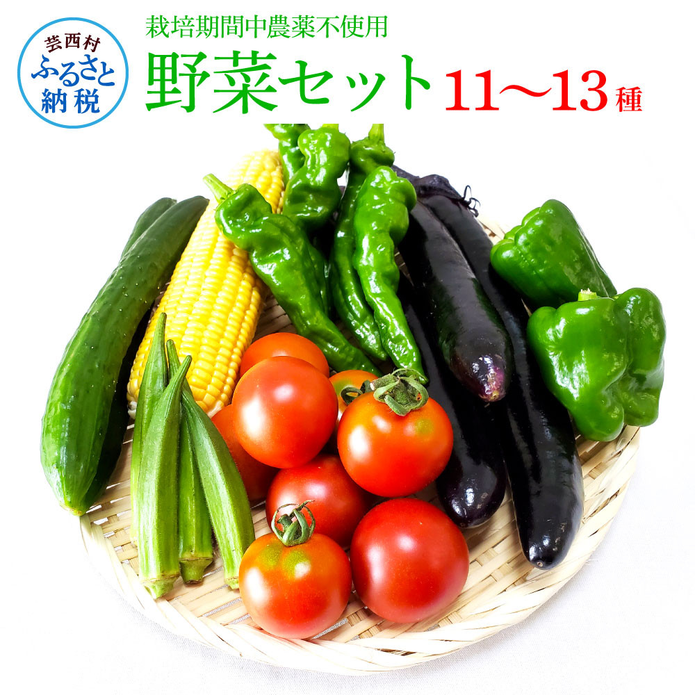 
栽培期間中農薬不使用！ 野菜セット（11‐13種類）
