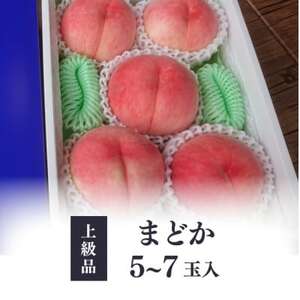 【きよとうファーム】上品な肉質 まどか 白桃 上級品 5-7玉入(岡山県産)【配送不可地域：離島】【1571597】