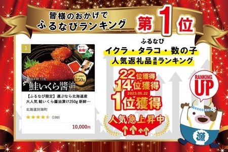  国産大粒 いくら ！！本場「北海道」 いくら醤油漬 250g（ いくら イクラ 鮭卵  鮭いくら 鮭イクラ 醤油漬け 人気いくら 大人気いくら 人気イクラ 大人気イクラ 北海道 野付 別海町 人気 