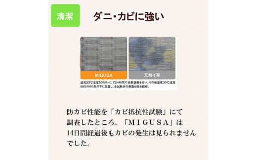 MIGUSAキッチンマット（１．８ｍ-ジオ）