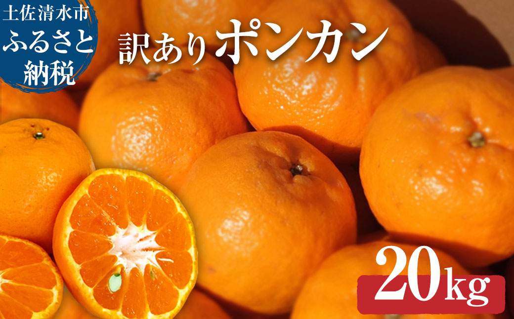 【先行予約】＜訳あり＞ ぽんかん20kg（オレンジ園） デコポンの親 みかん ミカン 果物 果実 柑橘 フルーツ ポンカン でこぽん おやつ デザート 甘い 美味しい 家庭用 名物 国産【R01082】