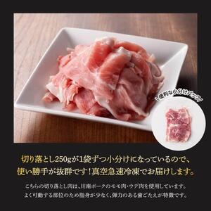 【6ヶ月定期便】川南ポーク豚小間切れ4.5kg(250g×18パック) 【 宮崎県産 川南町産 豚肉 肉 切り落とし 小分け 定期便 送料無料 】