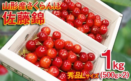 さくらんぼ 佐藤錦 Lサイズ 1kg(500g×2パック） 【令和8年産先行予約】FS25-571