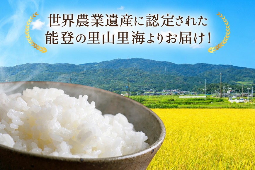 【期間限定発送】 米 定期便 コシヒカリ 白米 5kg 3回 総計 15kg [農家にしの 石川県 宝達志水町 38601175] こしひかり お米 おこめ こめ コメ 精米 ごはん ご飯 令和8年産