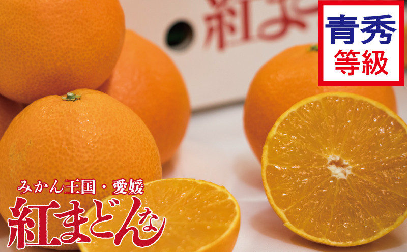 
             【先行予約】【2025年11月下旬以降順次発送】数量限定 紅まどんな 青秀 等級 化粧箱 L玉～5L玉 高級 紅まどんな 柑橘 フルーツ 個包装 紅マドンナ 果物 おすすめ柑橘紅まどんな 高級柑橘の紅まどんな くだもの 人気 おすすめ 贈答 ギフト 紅まどんな 愛媛県 松山市 送料無料 えひめのフルーツ紅まどんな マドンナ まどんな
          
