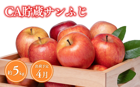 《4月発送》 CA貯蔵サンふじ 約5kg(14～20玉程度)【りんご 森山商店 平川市産 青森りんご 年明け発送 4月 CA 貯蔵 林檎 リンゴ サンふじ ふじ 葉とらず 平川市 青森県】