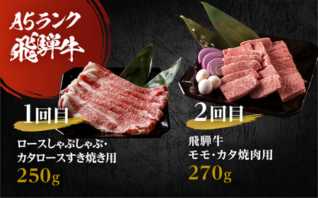A5飛騨牛　定期便　5カ月ちょこちょこお届け（焼肉・すき焼き　ほか）☆