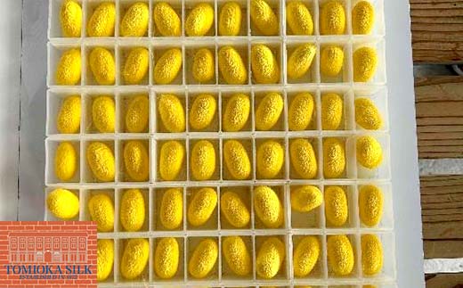 国産富岡シルク 富岡シルク ぐんま黄金 ボックスシーツ 贈り物 ギフト 国産 F21E-417