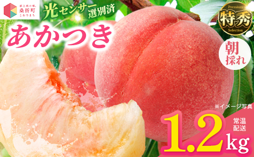もも【あかつき・2026年産】特秀1.2kg「献上桃の郷ブランド品」桑折町産　JAふくしま未来　桃　【07301-0224】