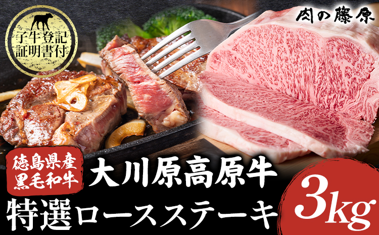 【年間10頭！】大川原高原牛 特選ロース 3kg 冷凍便 肉の藤原 《60日以内に出荷予定(土日祝除く)》│ 和牛 希少 大川原高原 牛肉 ロース 贅沢 バーベキュー BBQ キャンプ ギフト 贈答 徳島県 佐那河内村 s-23