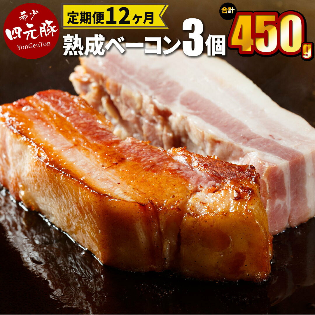 【ふるさと納税】 【定期便12ヶ月】GIFTON 岩手県産四元豚 熟成ベーコンブロック 150g×3　ギフト お肉 豚肉 贈答