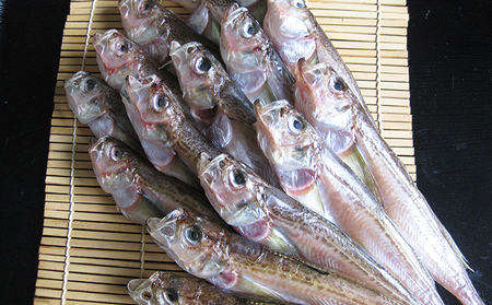 ハタハタ 大 450g 1箱 干物 一夜干し × 海鮮 干物 ハタハタ