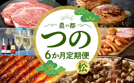 ≪6か月お楽しみ定期便≫都農町定期便(松) 肉 加工品 鰻 国産_T999-007