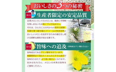 【先行予約】メロン 1玉入（約1.4kg〜1.8kg）青肉 〈2027年4月上旬〜5月中旬頃発送〉 メロン めろん マスクメロン 舐瓜 果物 くだもの フルーツ デザート 旬 ハウス栽培【株式会社とさ