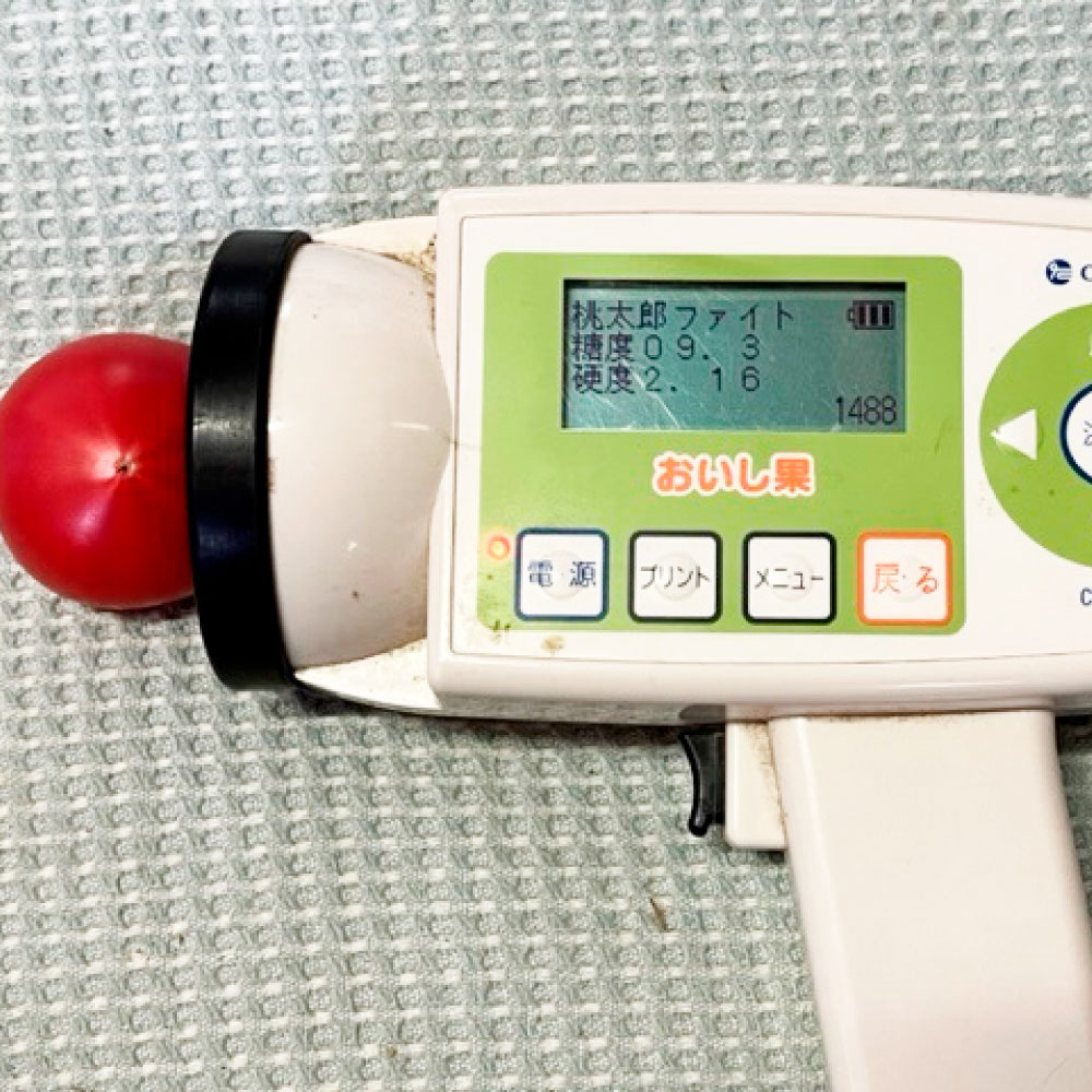 ＜先行予約＞糖度9度以上 フルーツトマト しんちゃんトマ