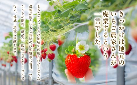 《2026年3月以降順次発送》まるなかファーム　ギフトボックスC 【まるなかファーム株式会社】