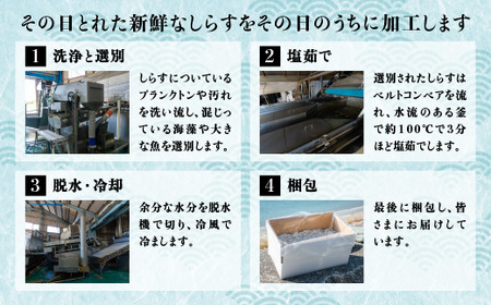 【愛媛県・佐田岬直送】木嶋水産の釜揚げしらす（2kg×6パックセット） ※着日指定不可 ※離島への配送不可