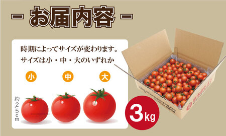 【先行予約】【令和8年1月中旬頃より出荷】熊太郎とまと （3kg）甘さ 濃縮 トマト 塩 ベアーズファーム C250-003 トマト