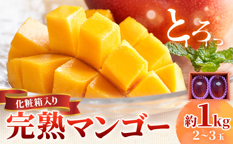 鹿児島県産 完熟マンゴー 化粧箱入り 約1kg 祝迫果樹園《6月中旬-7月中旬頃出荷》鹿児島県 さつま町 マンゴー 果実 果物 くだもの フルーツ 果肉 果汁 高級 ご褒美 贅沢 グルメ---stm-iws-1-1kg---
